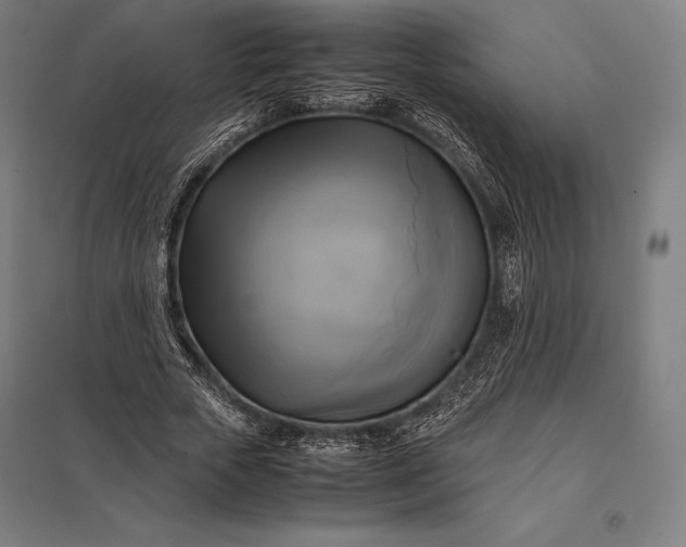 X0000097860729200803281311