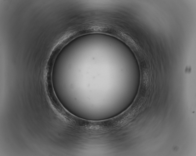 X0000097860730200803281311