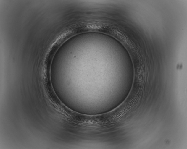 X0000097860731200803281311