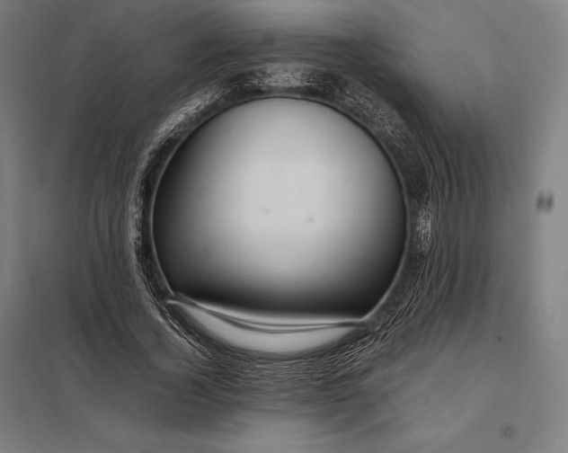 X0000097860732200803281311