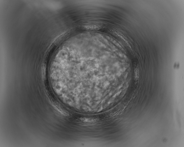 X0000097860733200803281311