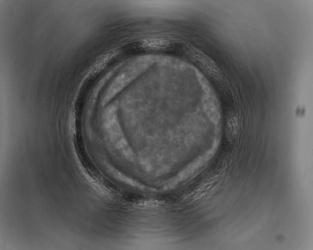 X0000097860734200803281311