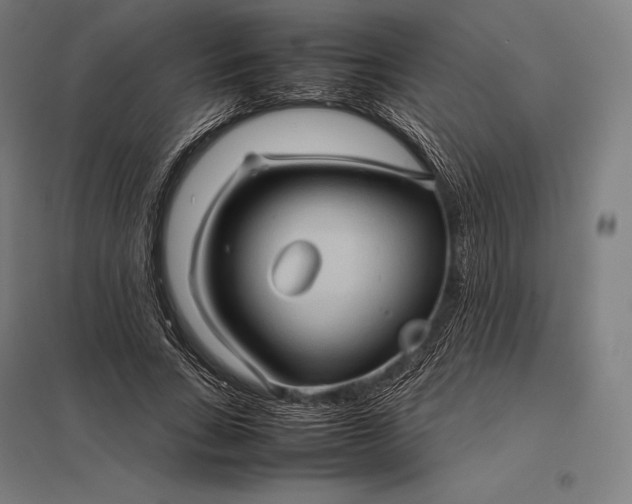 X0000097860735200803281311