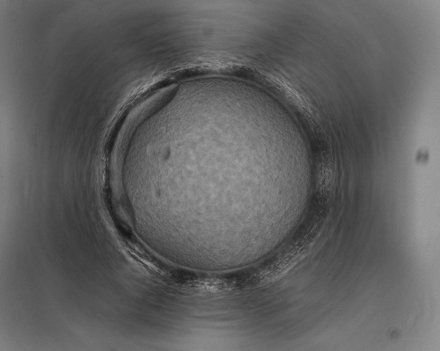 X0000097860736200803281311