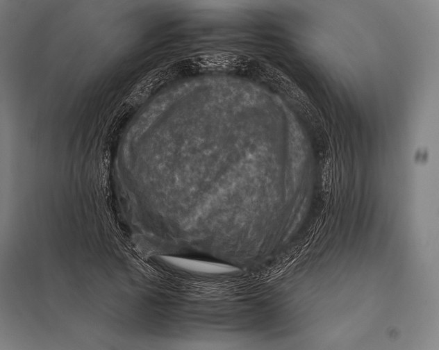 X0000097860737200803281311