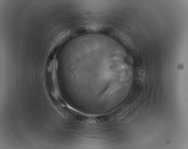 X0000097860738200803281311