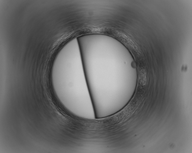 X0000097860740200803281311