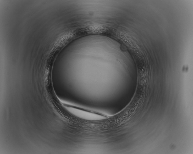 X0000097860742200803281311