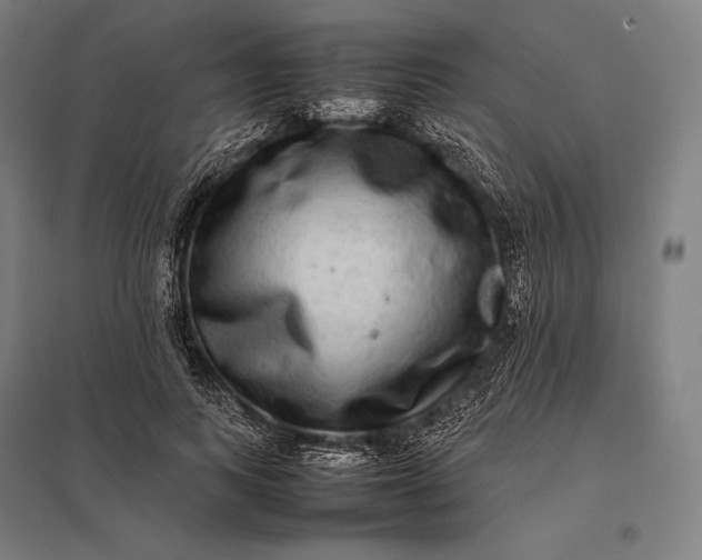 X0000097860743200803281311