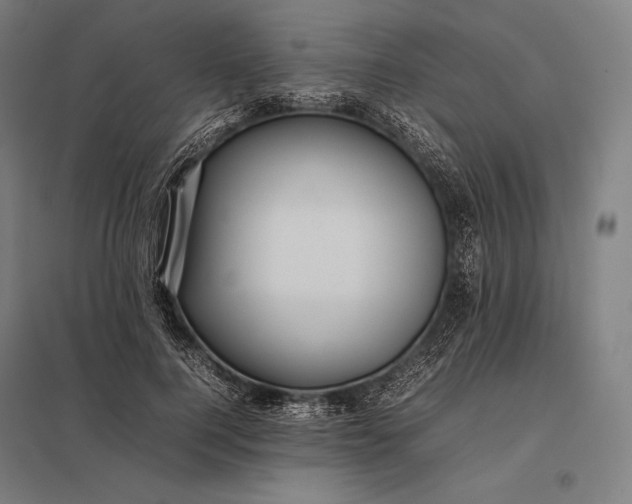 X0000097860744200803281311