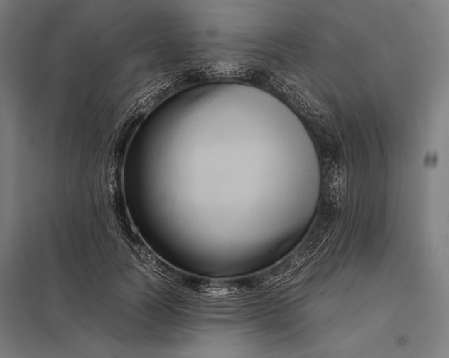 X0000097860746200803281311