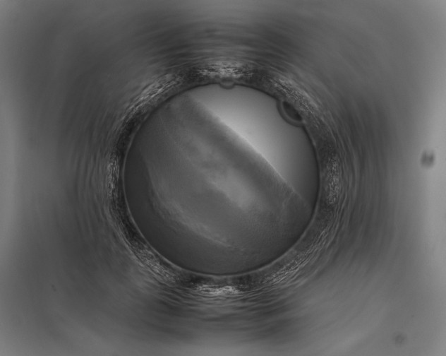 X0000097860747200803281311