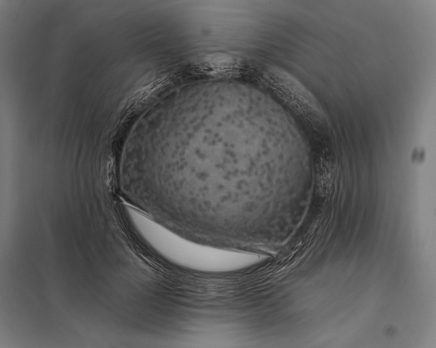 X0000097860748200803281311