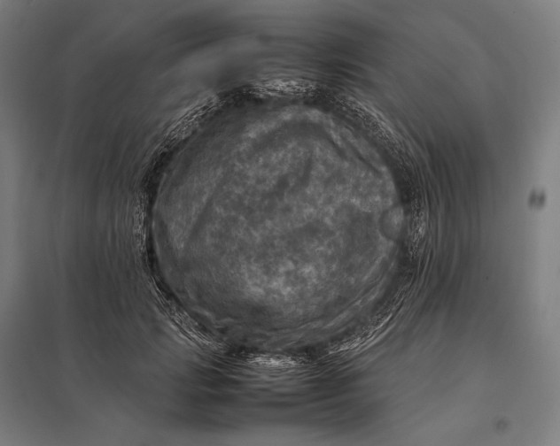 X0000097860749200803281311