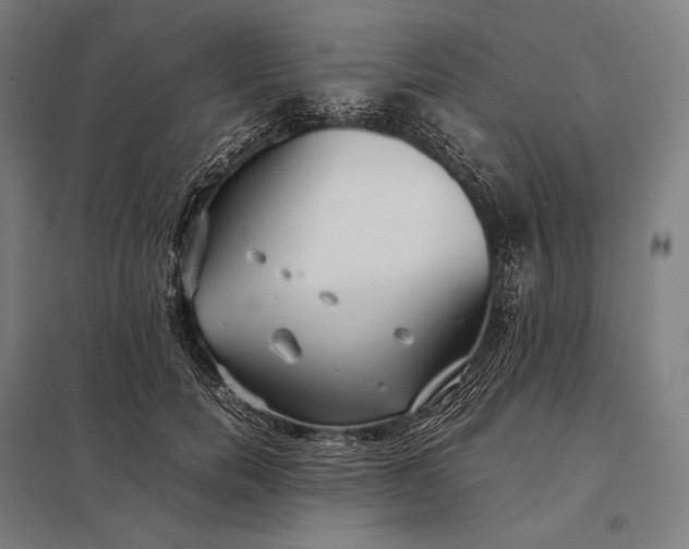 X0000097860750200803281311