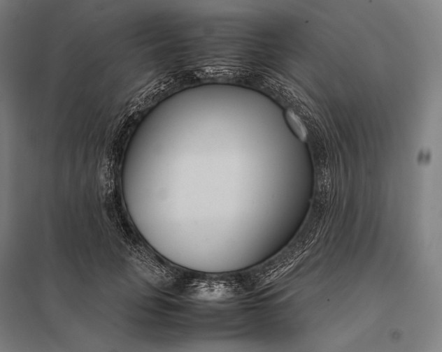 X0000097860751200803281311