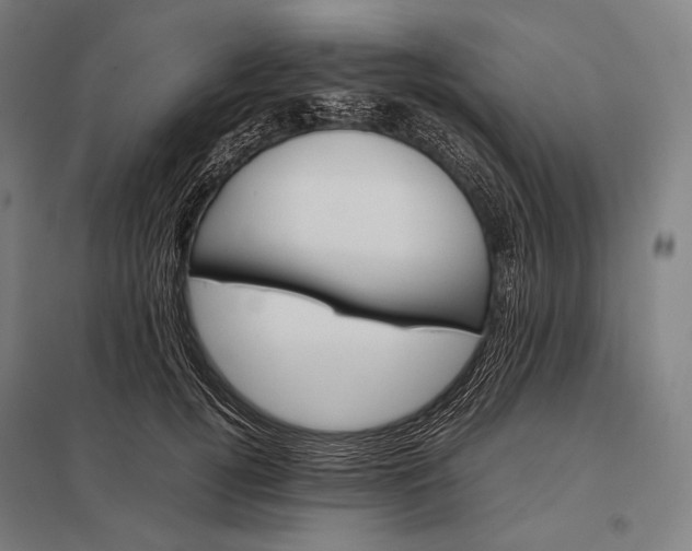 X0000097860752200803281311