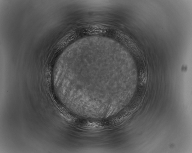 X0000097860753200803281311