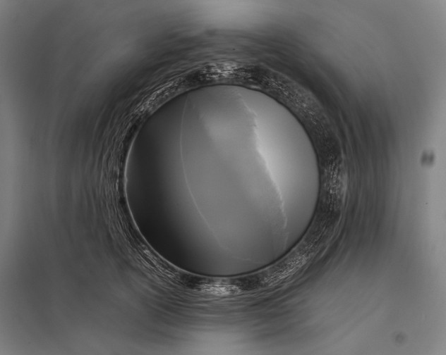 X0000097860754200803281311