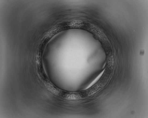 X0000097860755200803281311