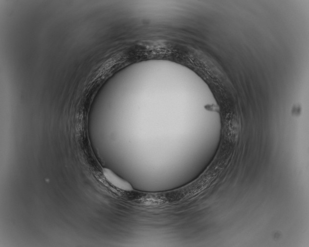 X0000097860756200803281311