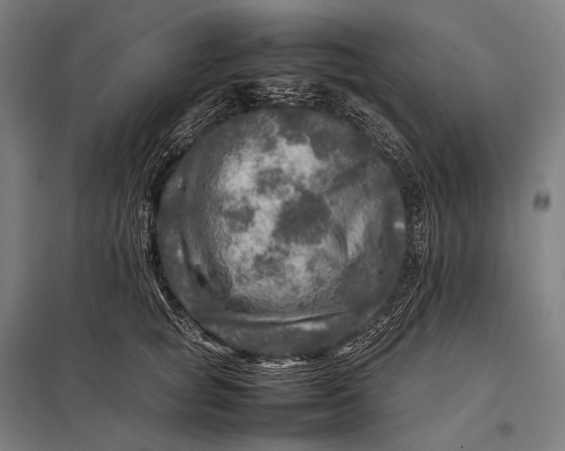 X0000097860757200803281311