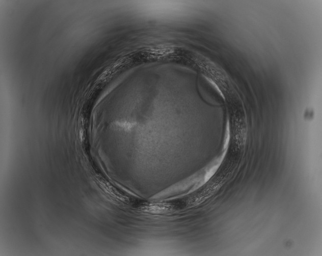 X0000097860758200803281311