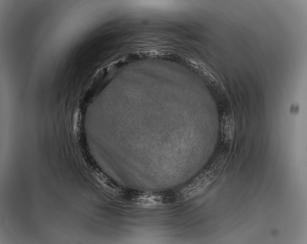 X0000097860760200803281311