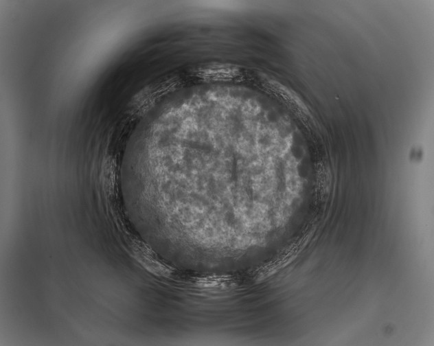 X0000097860761200803281311