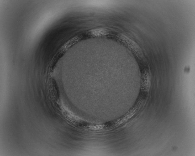 X0000097860762200803281311