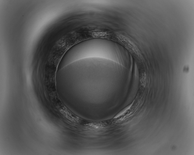 X0000097860763200803281311