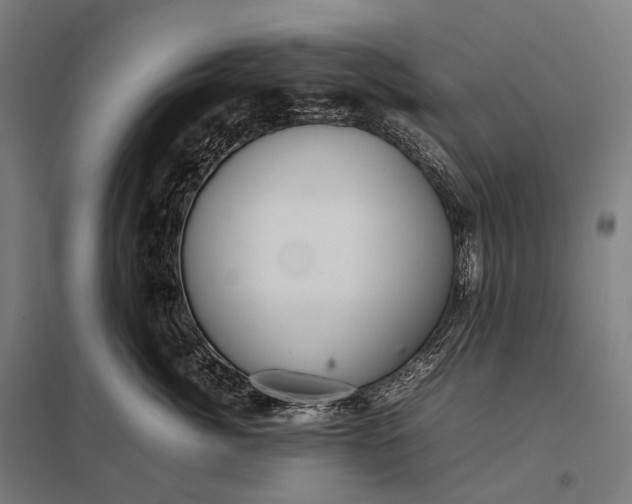 X0000097860764200803281311