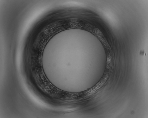 X0000097860765200803281311