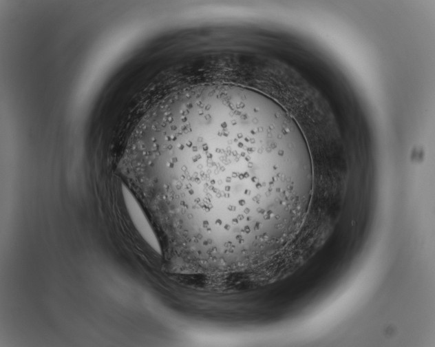 X0000097860766200803281311