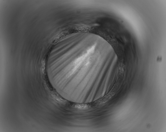 X0000097860767200803281312