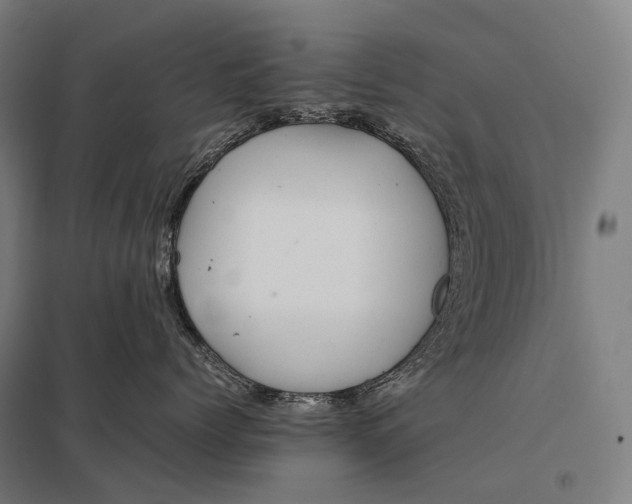 X0000097860768200803281312