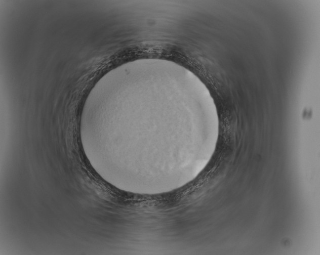 X0000097860769200803281311