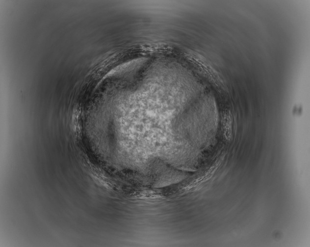 X0000097860770200803281311