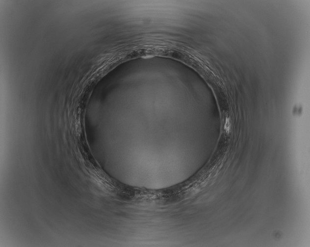 X0000097860771200803281311