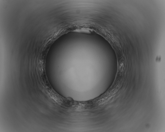 X0000097860772200803281311