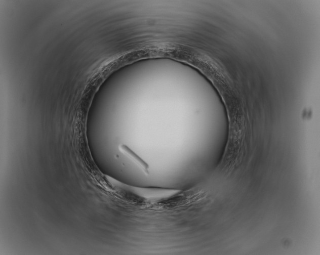 X0000097860773200803281311