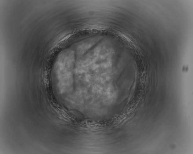 X0000097860774200803281311