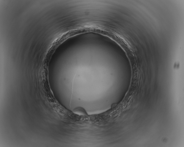 X0000097860776200803281311