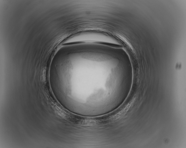 X0000097860777200803281311