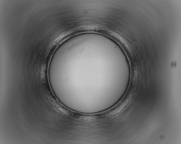 X0000097860778200803281311