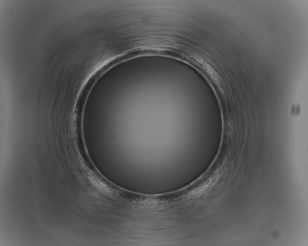 X0000097860779200803281311