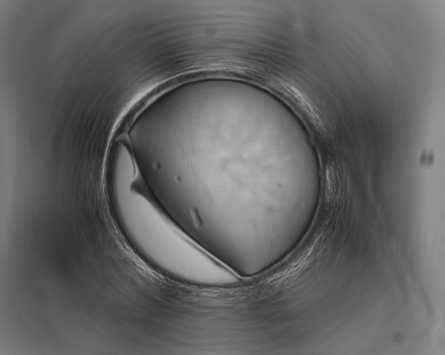 X0000097860780200803281311