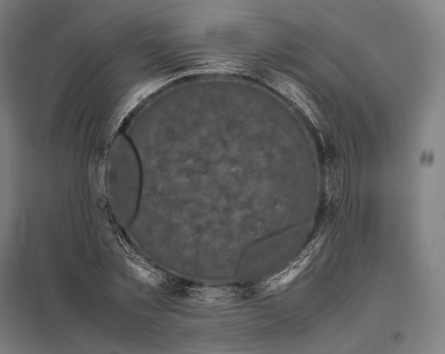 X0000097860781200803281311