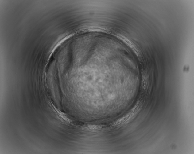 X0000097860782200803281311