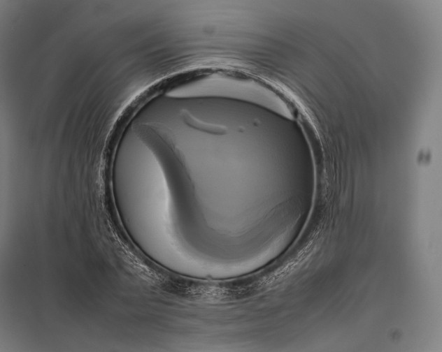 X0000097860783200803281311